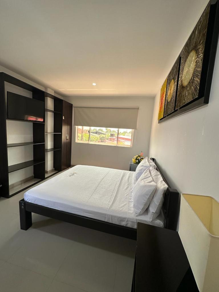 River Side Hotel San Martin (Meta)